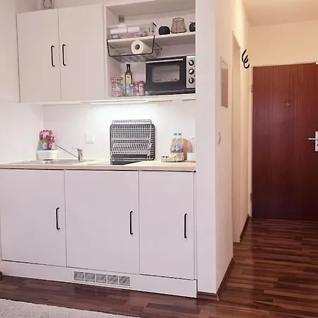 아파트 Lage Mit Rheinblick *