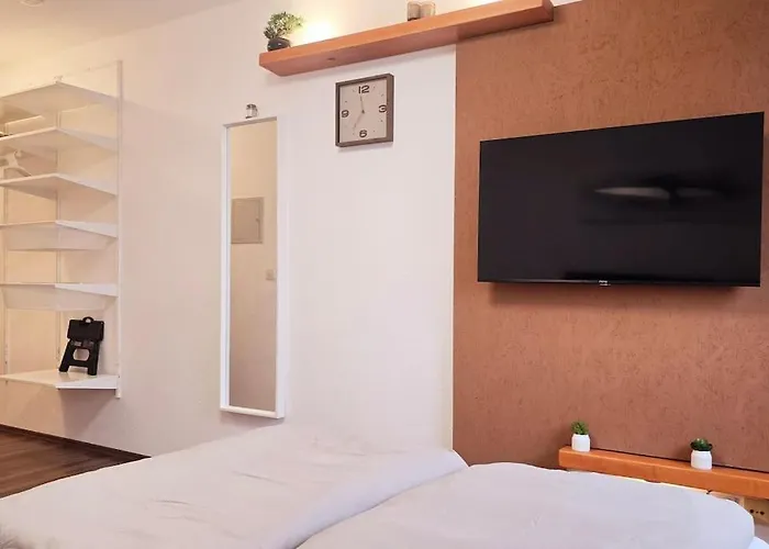 Lage Mit Rheinblick Appartement Mainz