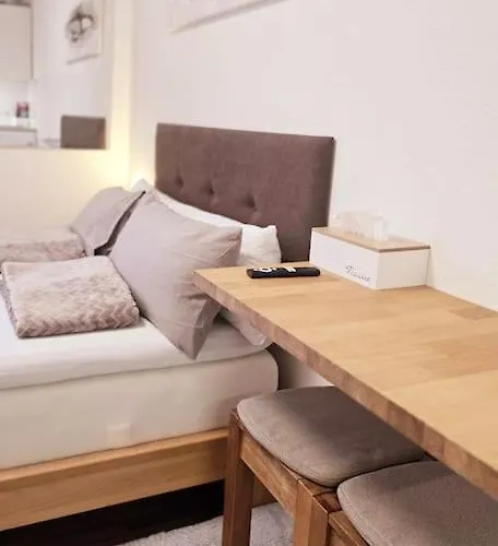 Appartement Lage Mit Rheinblick Mainz