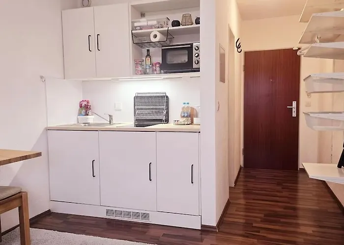 Appartement Lage Mit Rheinblick *