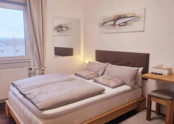 Appartement Lage Mit Rheinblick Mainz